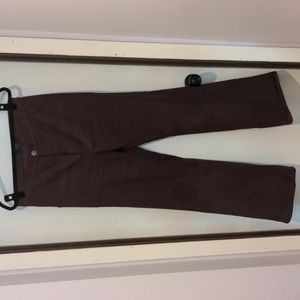 Burgundy BRASS Scout Pants